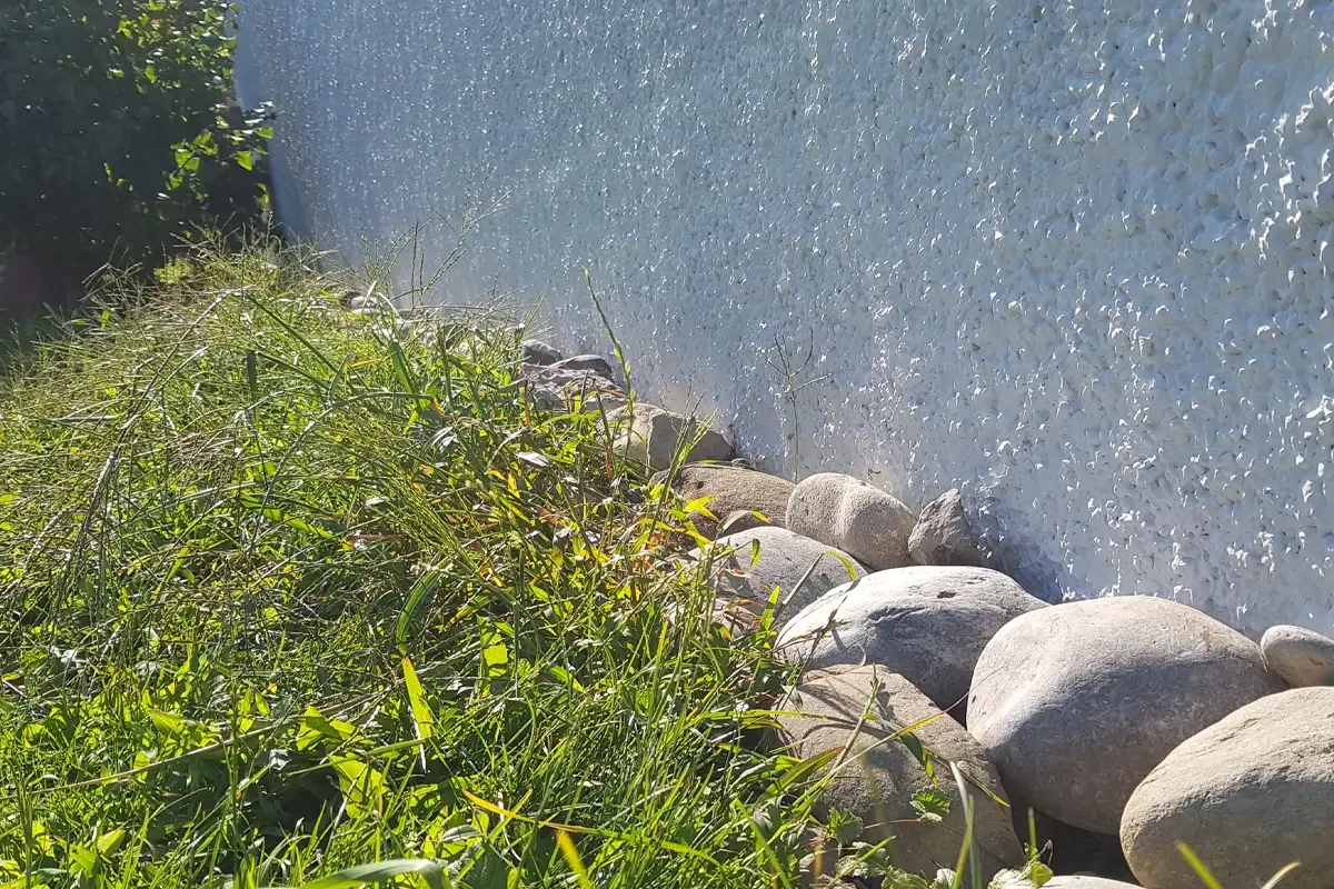 Egg. Zürich 2019- Vorher und nachher, Foto 15