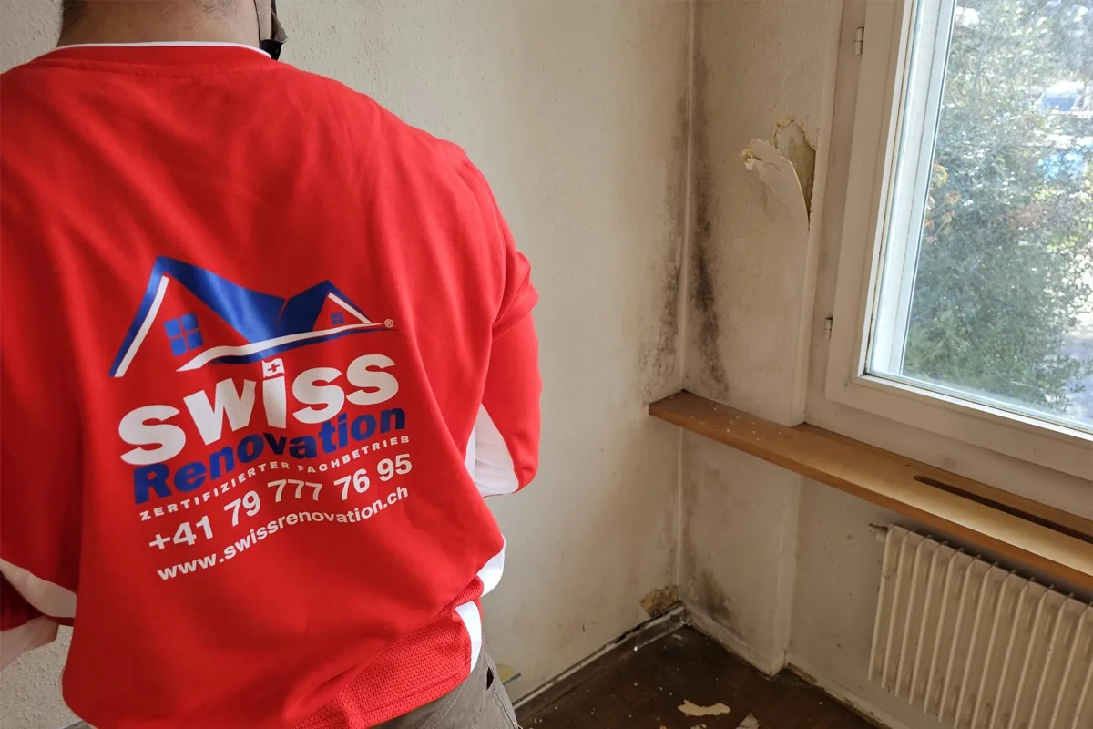 Hombrechtikon2025-Swiss Renovation GmbH Schimmelsanierung, Innendämmung, Wärmepumpe und Open-Space-Konzept: Swiss Renovation transformierte ein Einfamilienhaus aus 1960 in Hombrechtikon.