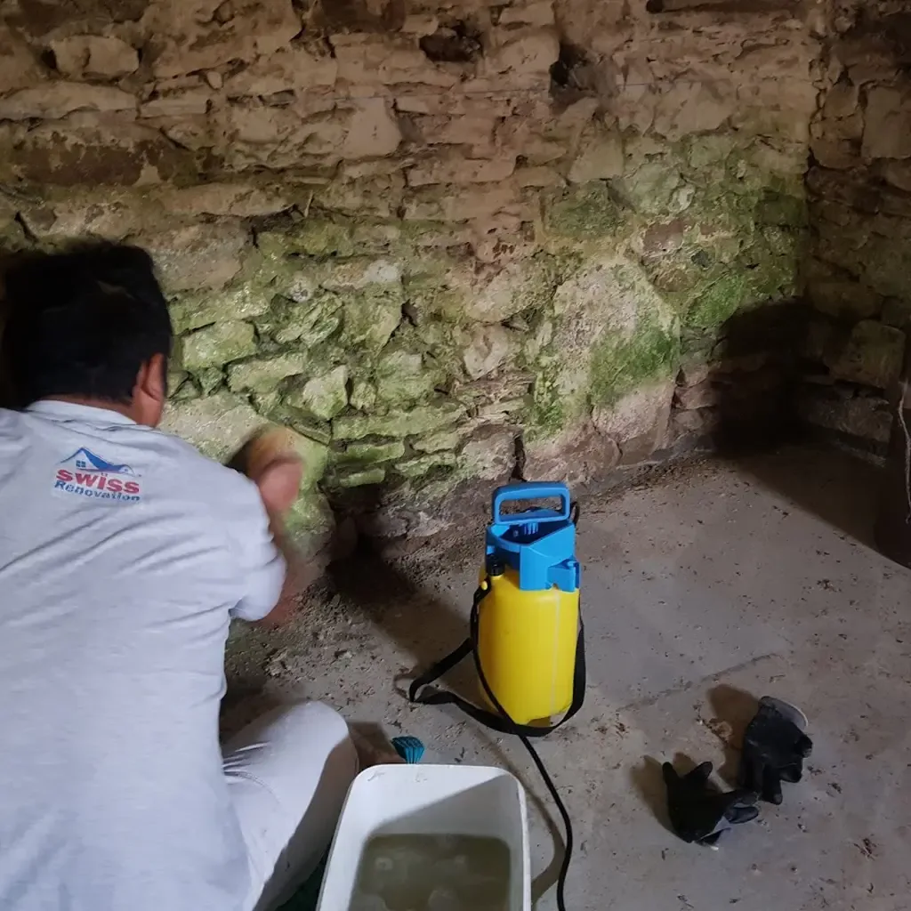 Horizontalsperre-Gontenschwil-2019 -Swiss Renovation