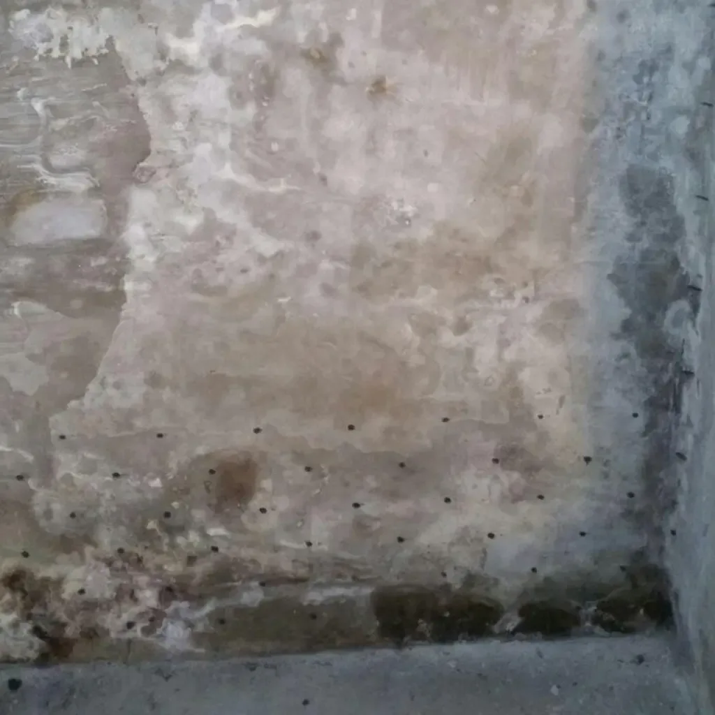 Horizontalsperre-Winterthur-2021-Swiss Renovation