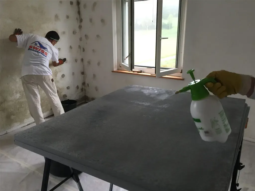 Kalziumsilikatplatten- Swiss Renovation