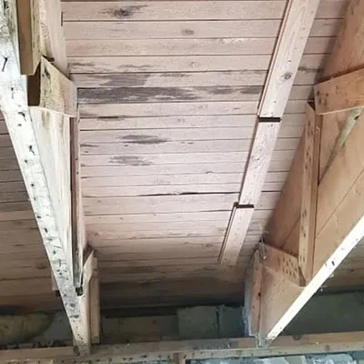Schimmelpilzsanierung an einer Wand